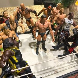 Wwe ring and 12 fighters